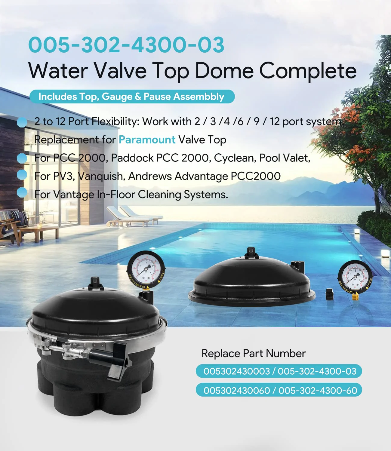 005-302-4300-03 Replace for Paramount Water Valve Top Dome Complete Assembly with Gauge and Pause - Image 7