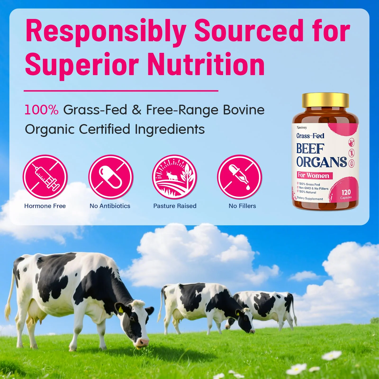 12-In-1 Beef Organ Supplement for Women - Beef Liver, Uterus, Kidney, Heart, Pancreas, 5 Vitamins & 2 Herbs, Hormone Balance, Menstruation, Energy, Immune - 100% Grass Fed, Pasture Raise - 120 Caps - Image 3