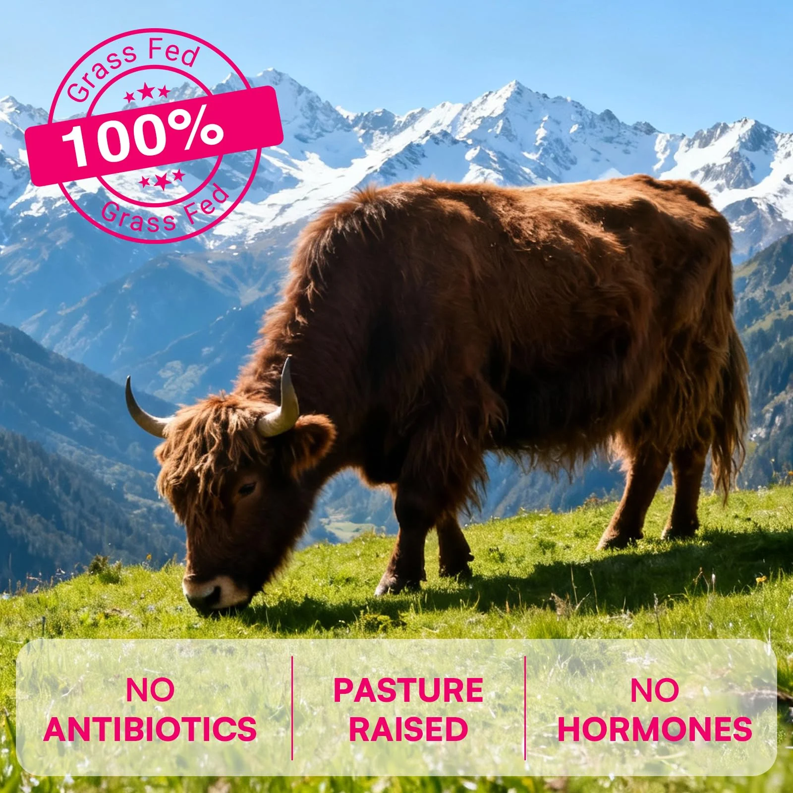 12-In-1 Beef Organ Supplement for Women - Beef Liver, Uterus, Kidney, Heart, Pancreas, 5 Vitamins & 2 Herbs, Hormone Balance, Menstruation, Energy, Immune - 100% Grass Fed, Pasture Raise - 120 Caps - Image 5