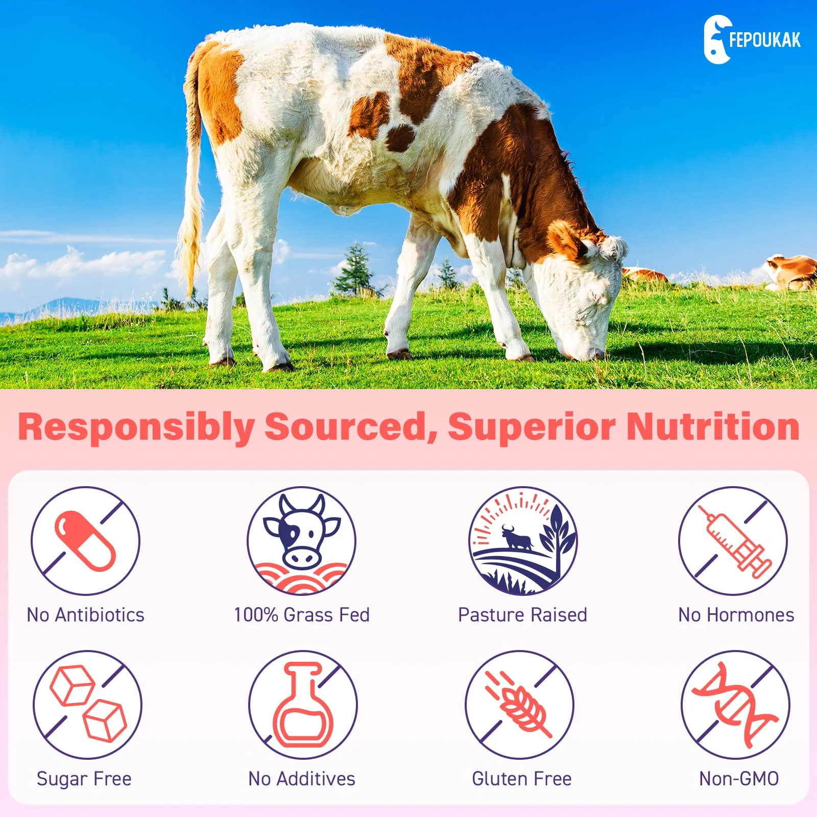 (180 Gummies) Beef Organ Supplement for Women - 5300mg Beef Liver, Kidney, Uterus & 10 More, for Hormone Balance, Menstruation, Energy, Immunity, Gut & Skin Health - 100% Grass Fed & Pasture Raise - Image 5