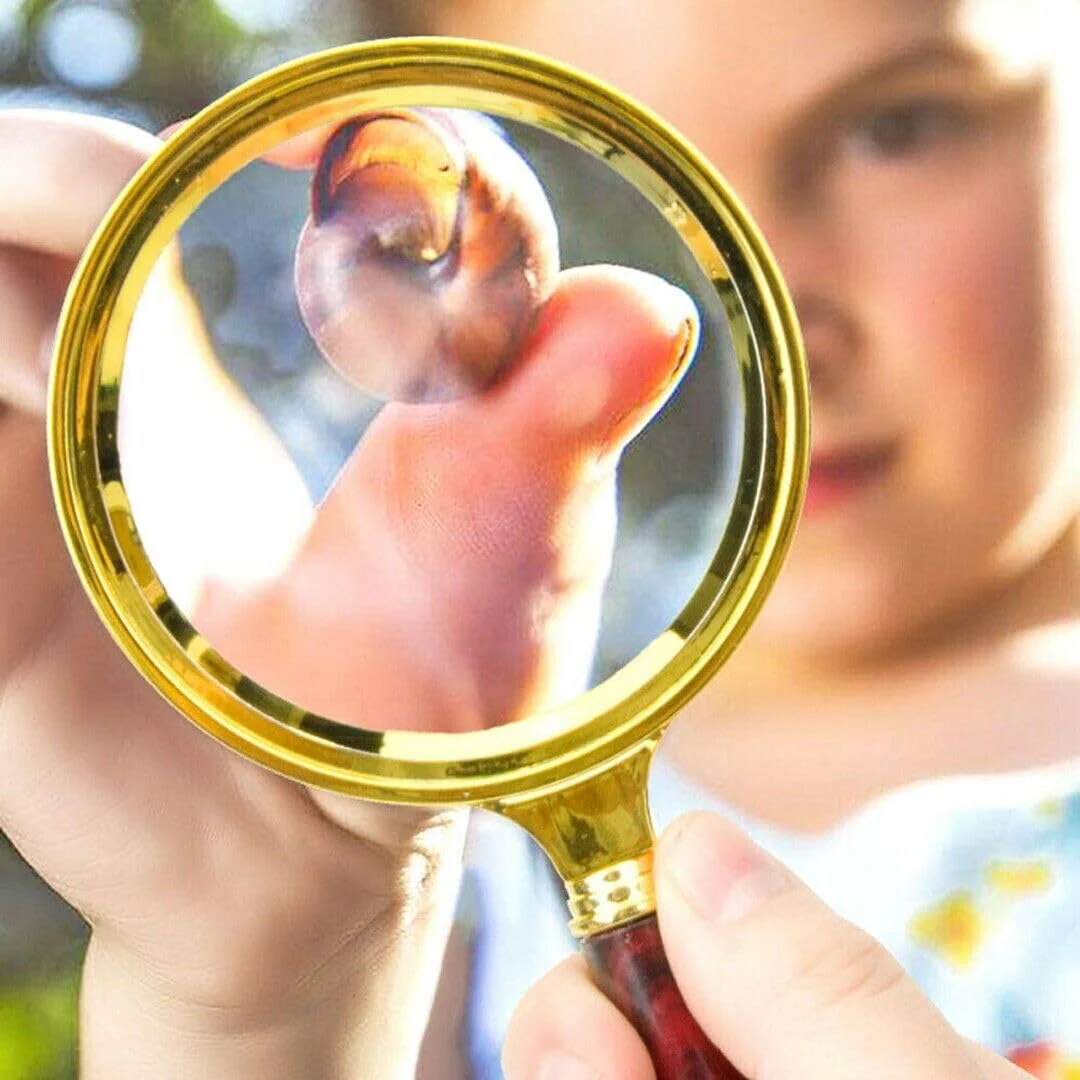 20X HD Magnifying Glass (Full Size-90mm) for Desktop, Collectors, Youth and The Elderly. Free Bonus, (3) Credit Card Sized Magnifiers for Shopping or dosing Medicine ($3.96 Value). - Image 8