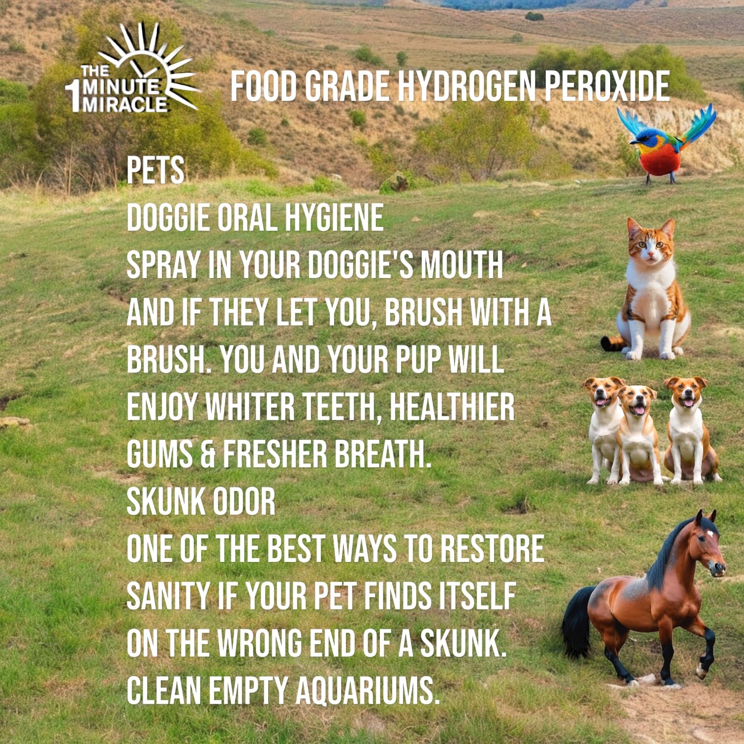 3% Hydrogen Peroxide Medical Food Grade H2o2-12 oz Bottle with 1 oz Bottle Dropper - Recommedned by The One Minute Cure Book. 11 Drops of 3% Equal to 1 Drop of 35% H2o2. - Image 9