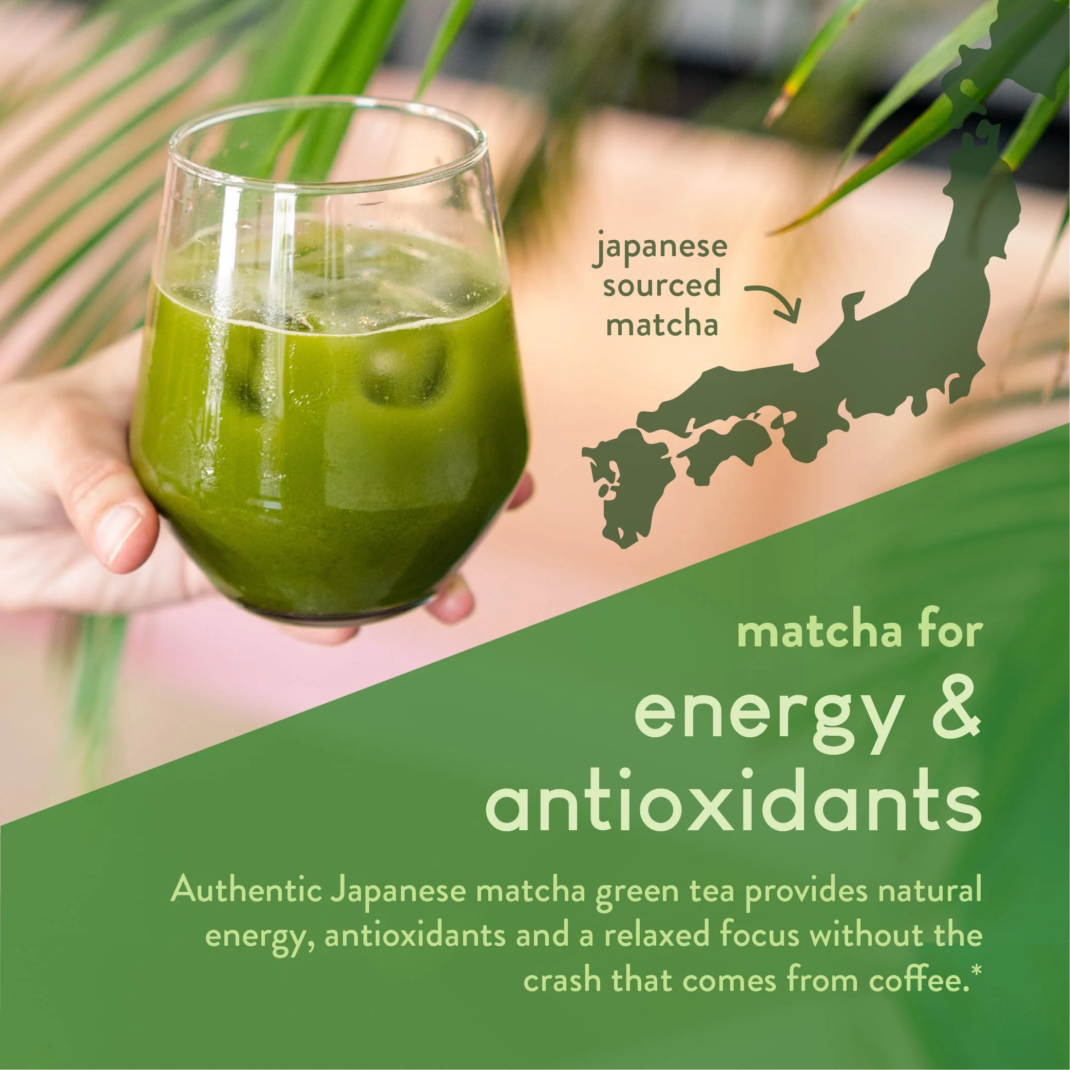 360 Nutrition Matcha Hydrolyzed Collagen Peptides Powder, Japanese Matcha Green Tea for Gut Health, Joint Support, Energy, Hair Skin & Nails, Gluten Free, Keto Friendly, Paleo, Non GMO (8oz (2 Count)) - Image 4