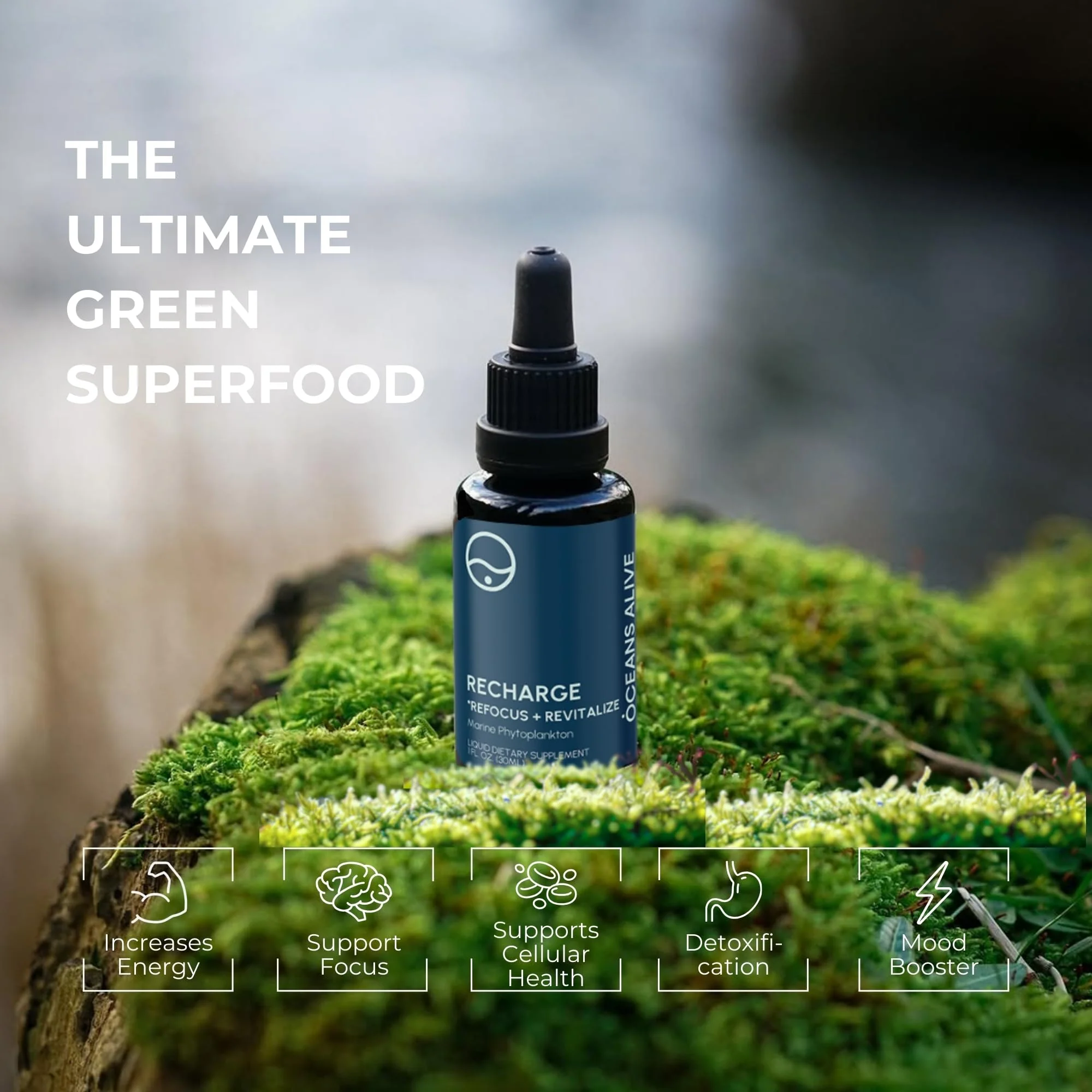 Activation Oceans Alive | 1 fl oz (30 ml) | Marine Phytoplankton Supplement | Chlorophyll & Mineral-Rich Formula for Energy & Focus | Natural Antioxidant Drops - Image 4
