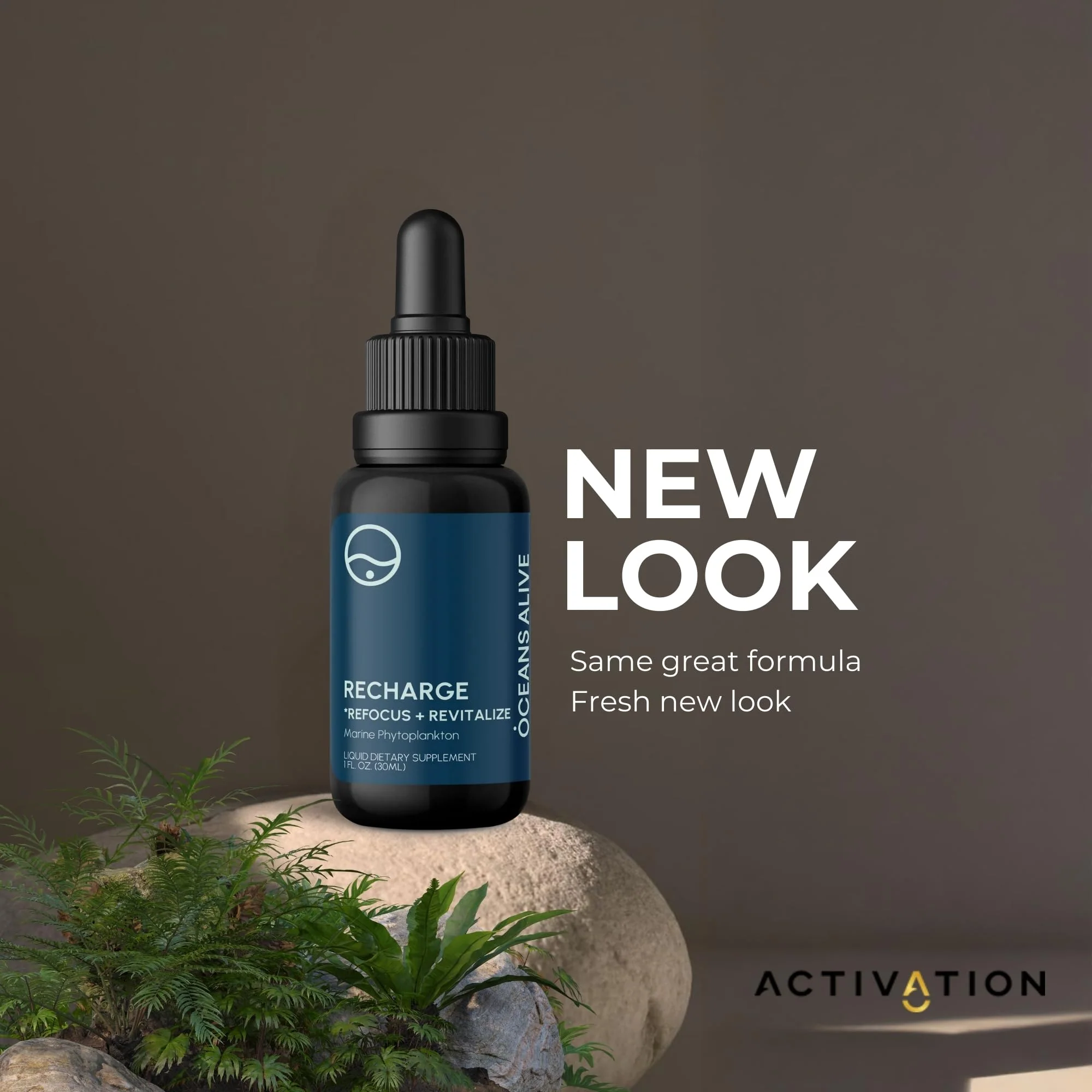 Activation Oceans Alive | 1 fl oz (30 ml) | Marine Phytoplankton Supplement | Chlorophyll & Mineral-Rich Formula for Energy & Focus | Natural Antioxidant Drops - Image 7