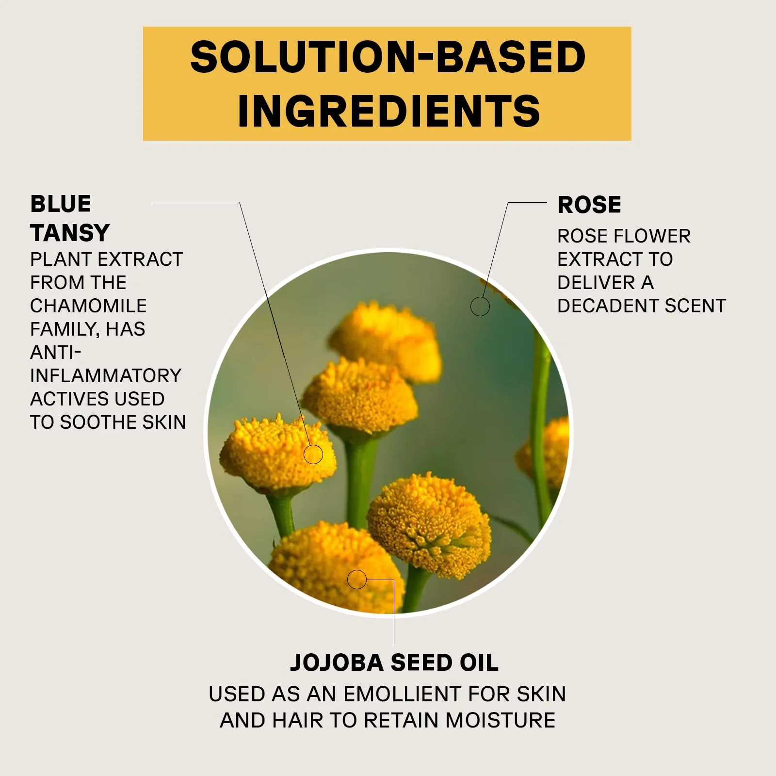 Acure Seriously Soothing Tansy Night Rose Oil - Soothes, Deep Hydrate & Moisturize Dry, Acne Prone, Sensitive Skin - Antioxidant Night Cream Serum Oil Blend with Blue Tansy & Rose - 100% Vegan, 1 oz - Image 4