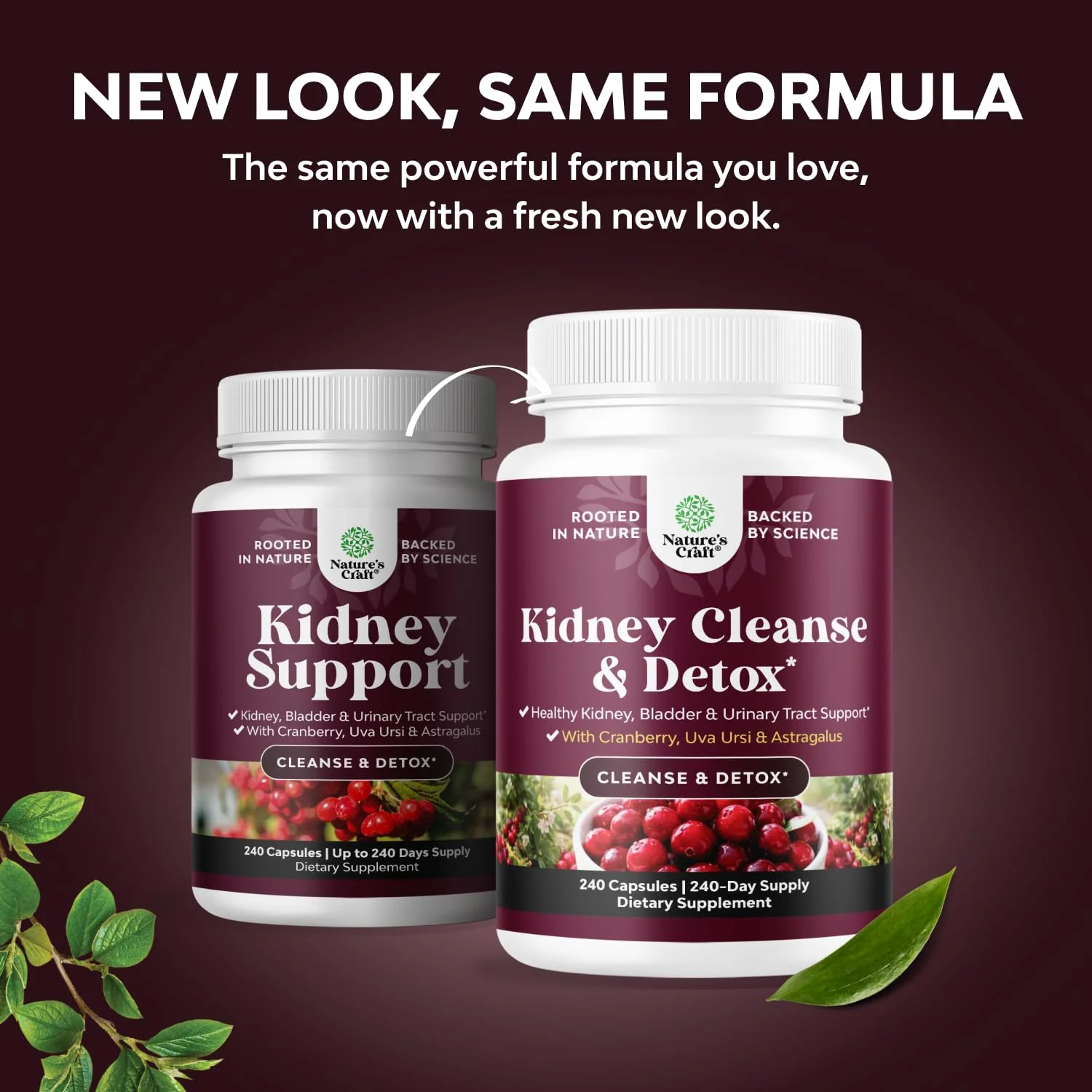 Advanced Kidney Support Supplement - Kidney Cleanse Detox & Repair Cranberry Extract Capsules with Uva Ursi, Stinging Nettle & Astragalus for Kidney Health - Urinary Tract Health - 240 Count - Image 4