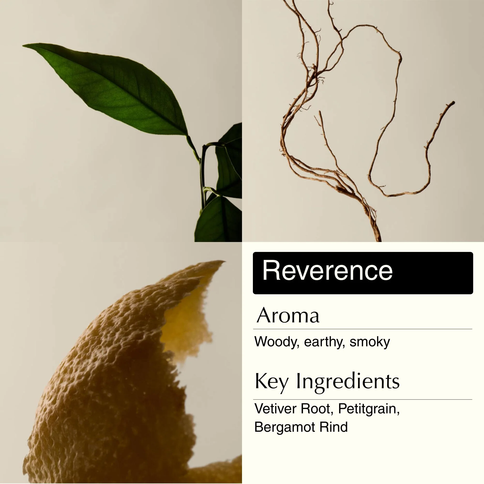 Aesop Resurrection & Reverence Aromatique Hand Wash Set – Nourishing Hand Wash & Gentle Exfoliating Hand Soap Duo | Botanical Cleansers Made with Hydrating Essential Oil Blend | 16.9 oz Each (2 Pack) - Image 4