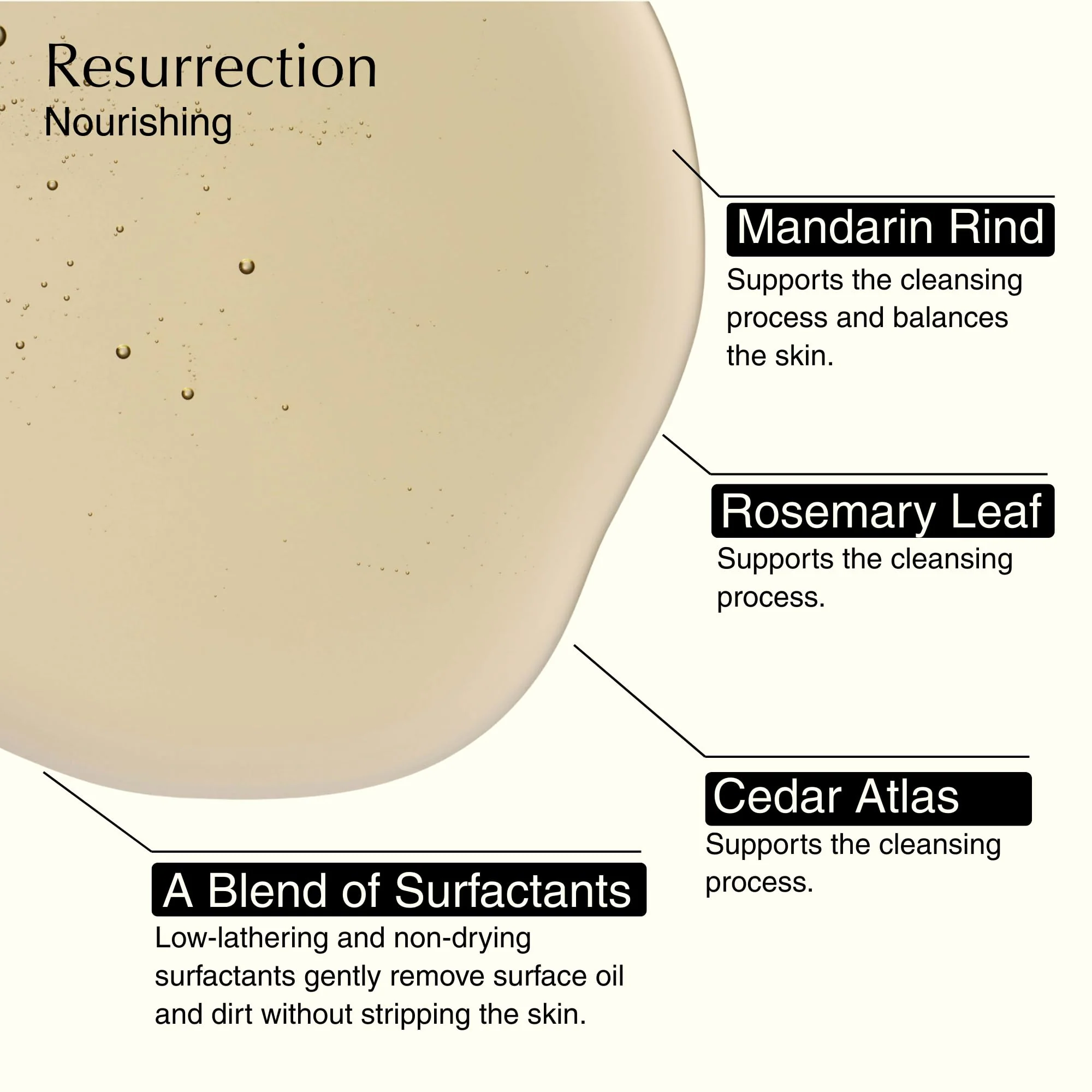 Aesop Resurrection & Reverence Aromatique Hand Wash Set – Nourishing Hand Wash & Gentle Exfoliating Hand Soap Duo | Botanical Cleansers Made with Hydrating Essential Oil Blend | 16.9 oz Each (2 Pack) - Image 5