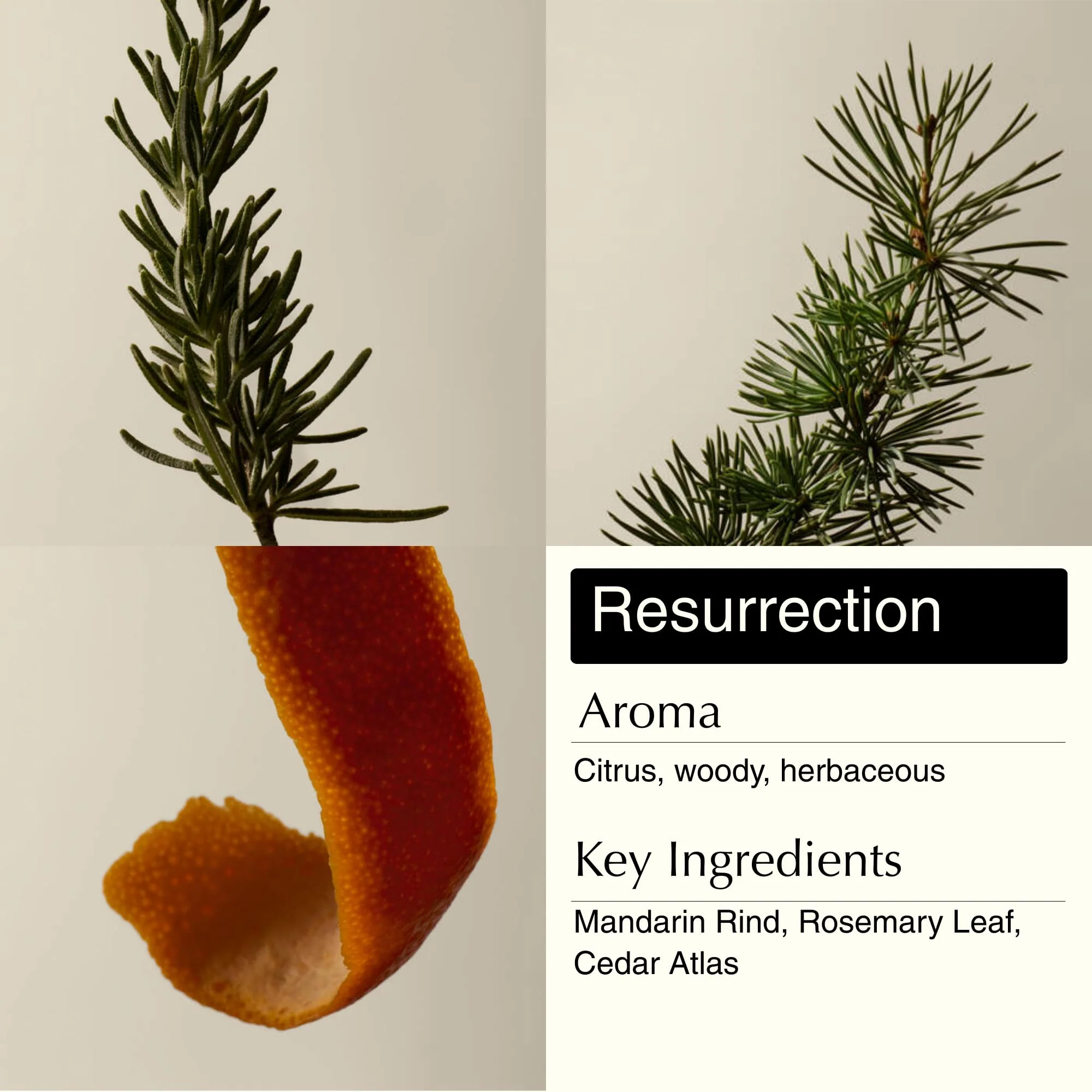 Aesop Resurrection & Reverence Aromatique Hand Wash Set – Nourishing Hand Wash & Gentle Exfoliating Hand Soap Duo | Botanical Cleansers Made with Hydrating Essential Oil Blend | 16.9 oz Each (2 Pack) - Image 6