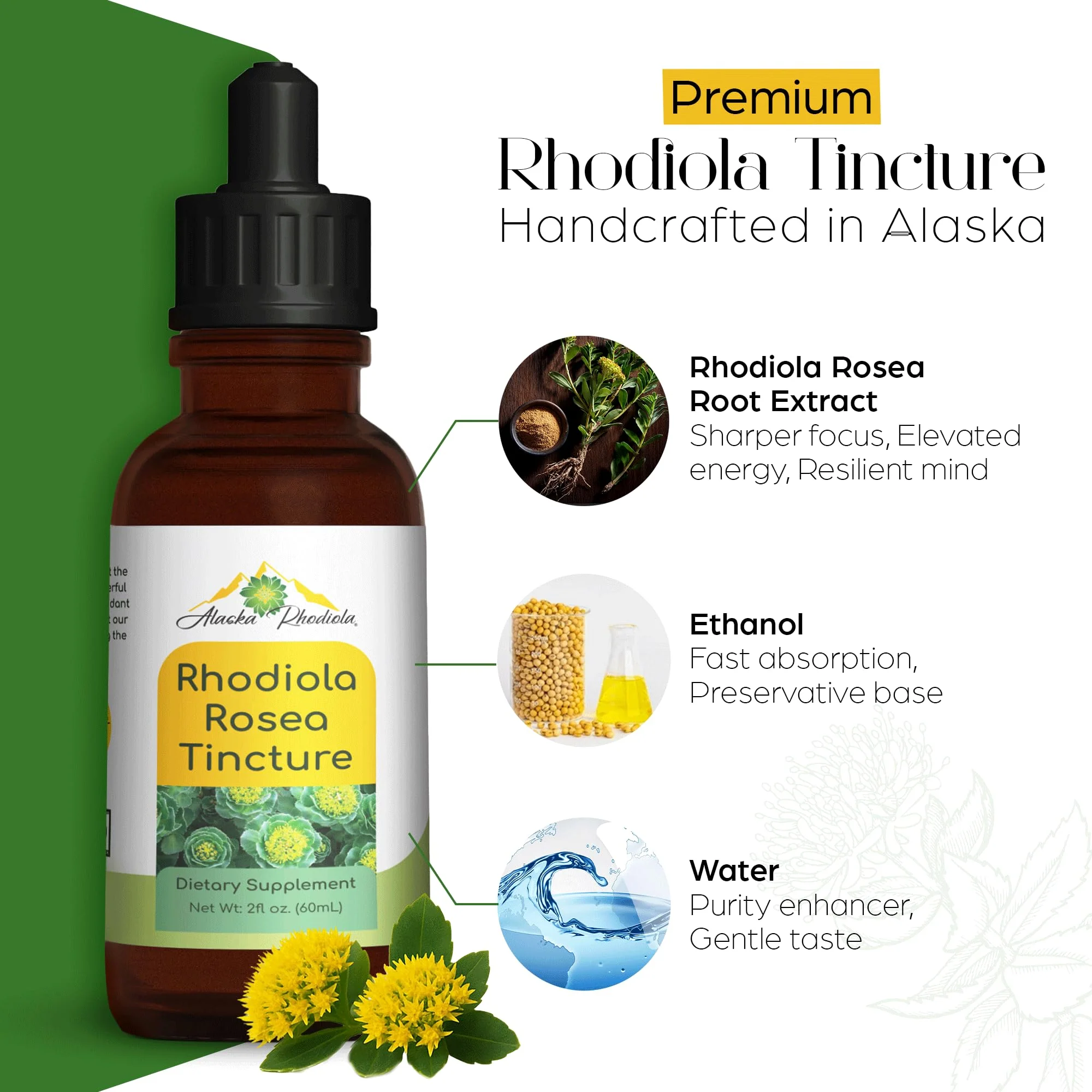 Alaskan Rhodiola Rosea Tincture – Natural Stress Support Rhodiola Supplement, Adaptogen for Energy & Mental Clarity, Liquid Extract for Anxiety & Focus – 2 oz - Image 3
