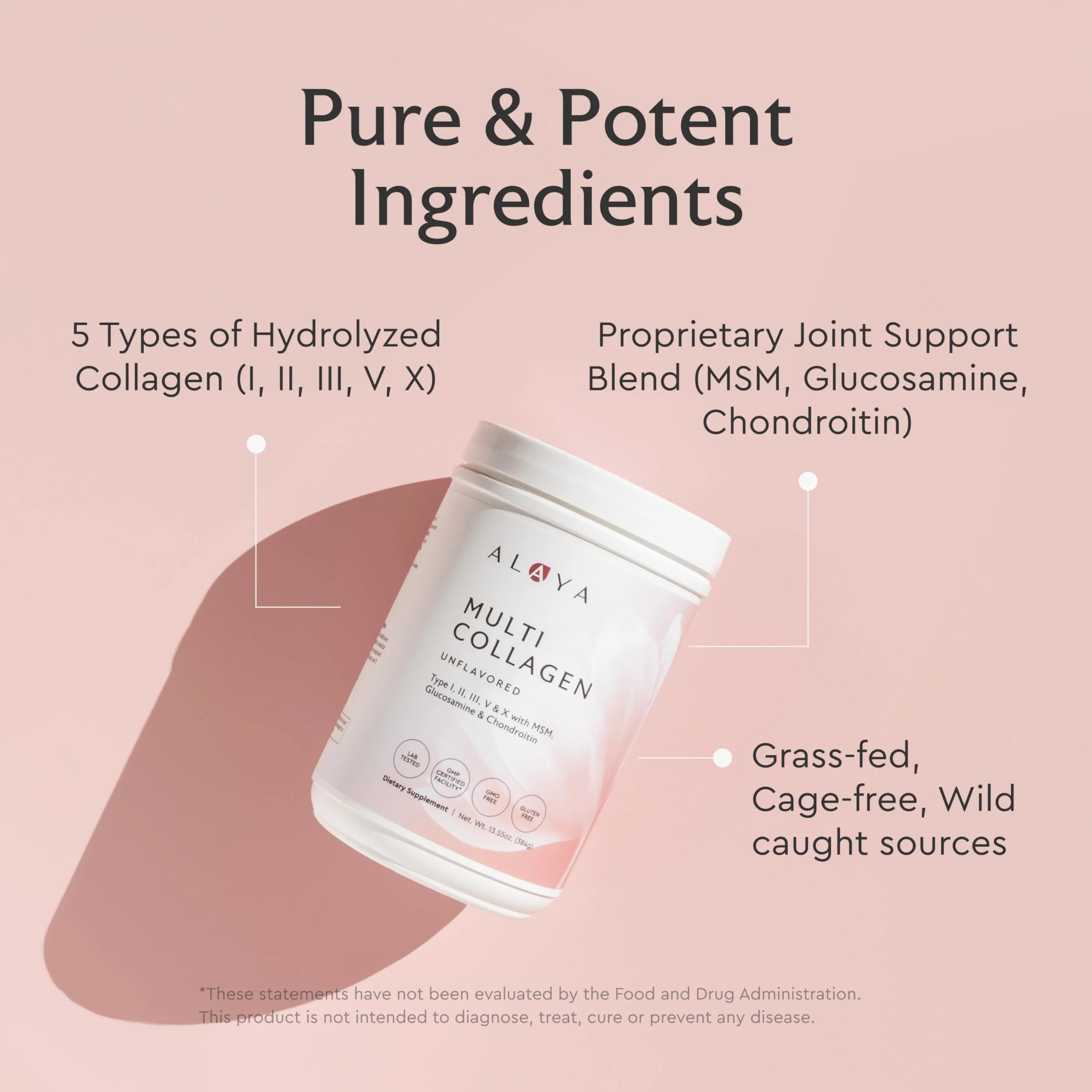 Alaya Multi Collagen Powder - Type I, II, III, V, X Hydrolyzed Collagen Peptides Protein Powder Supplement with MSM + GC (Chocolate) - Image 5