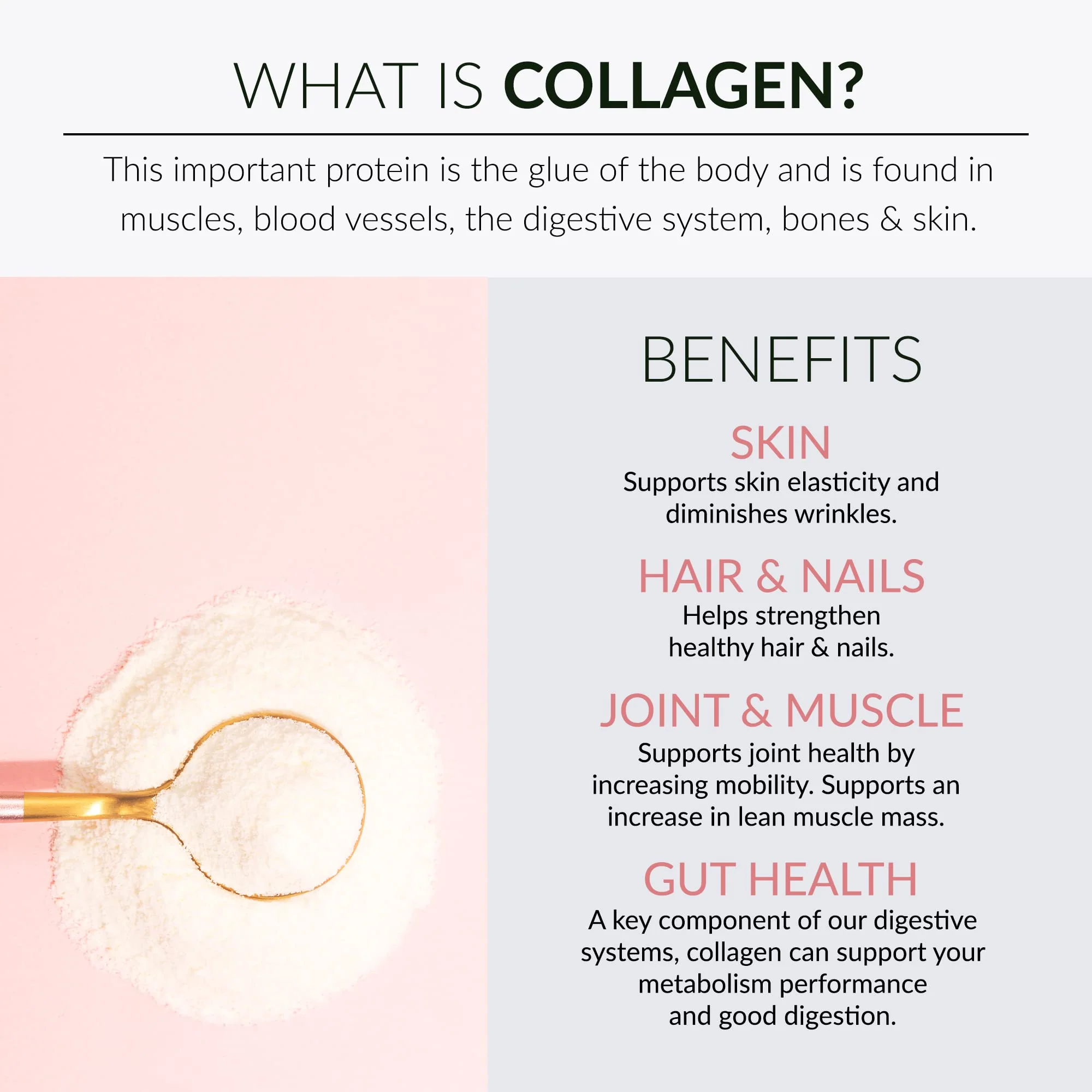 Alaya Multi Collagen Powder - Type I, II, III, V, X Hydrolyzed Collagen Peptides Protein Powder Supplement with MSM + GC (Raspberry Lemonade) - Image 6
