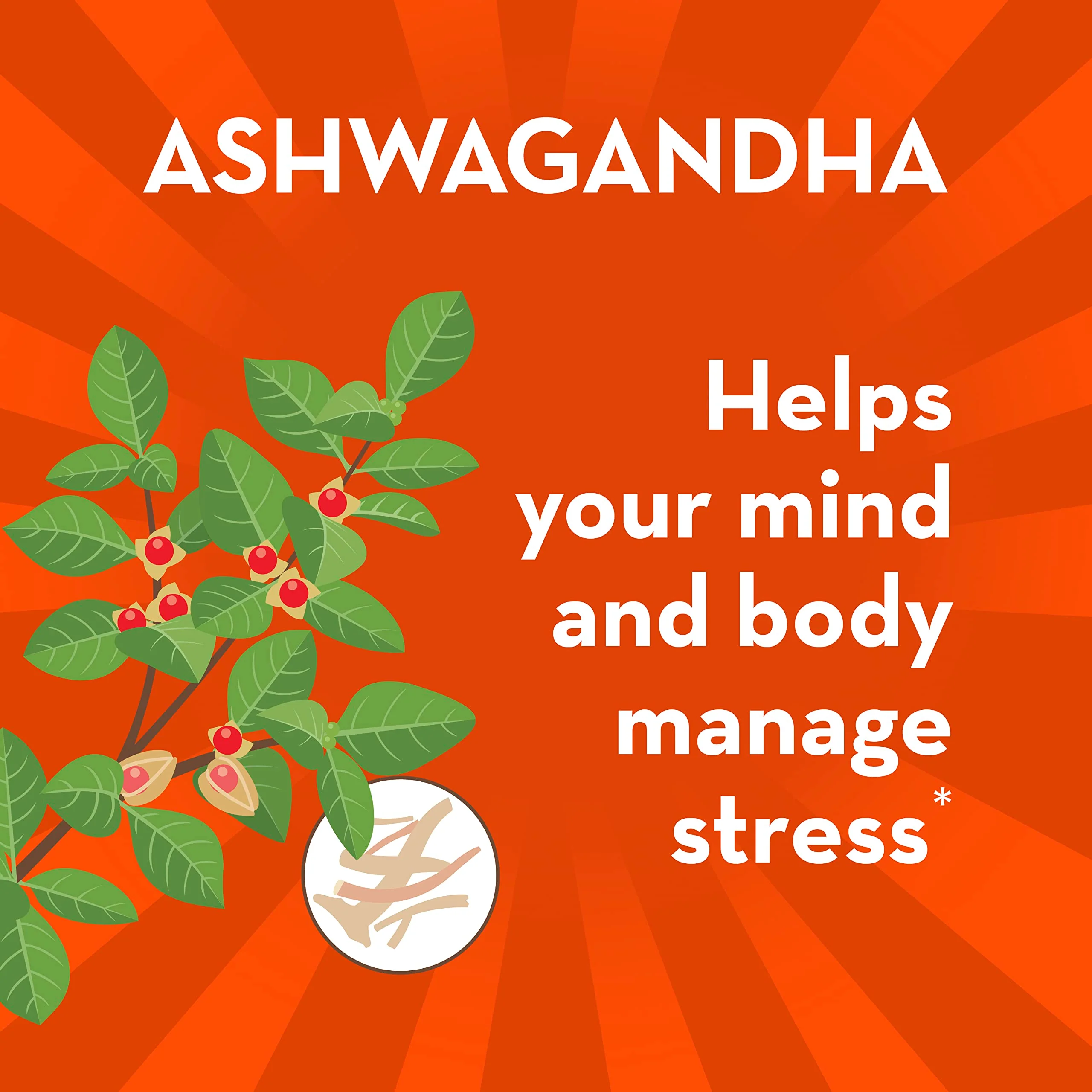 Align Probiotic, Digestive De-stress, Probiotic for Women and Men with Ashwagandha, Helps with a Healthy Response to Stress, Gluten Free, Soy Free, Vegetarian, 50 Gummies - Image 4