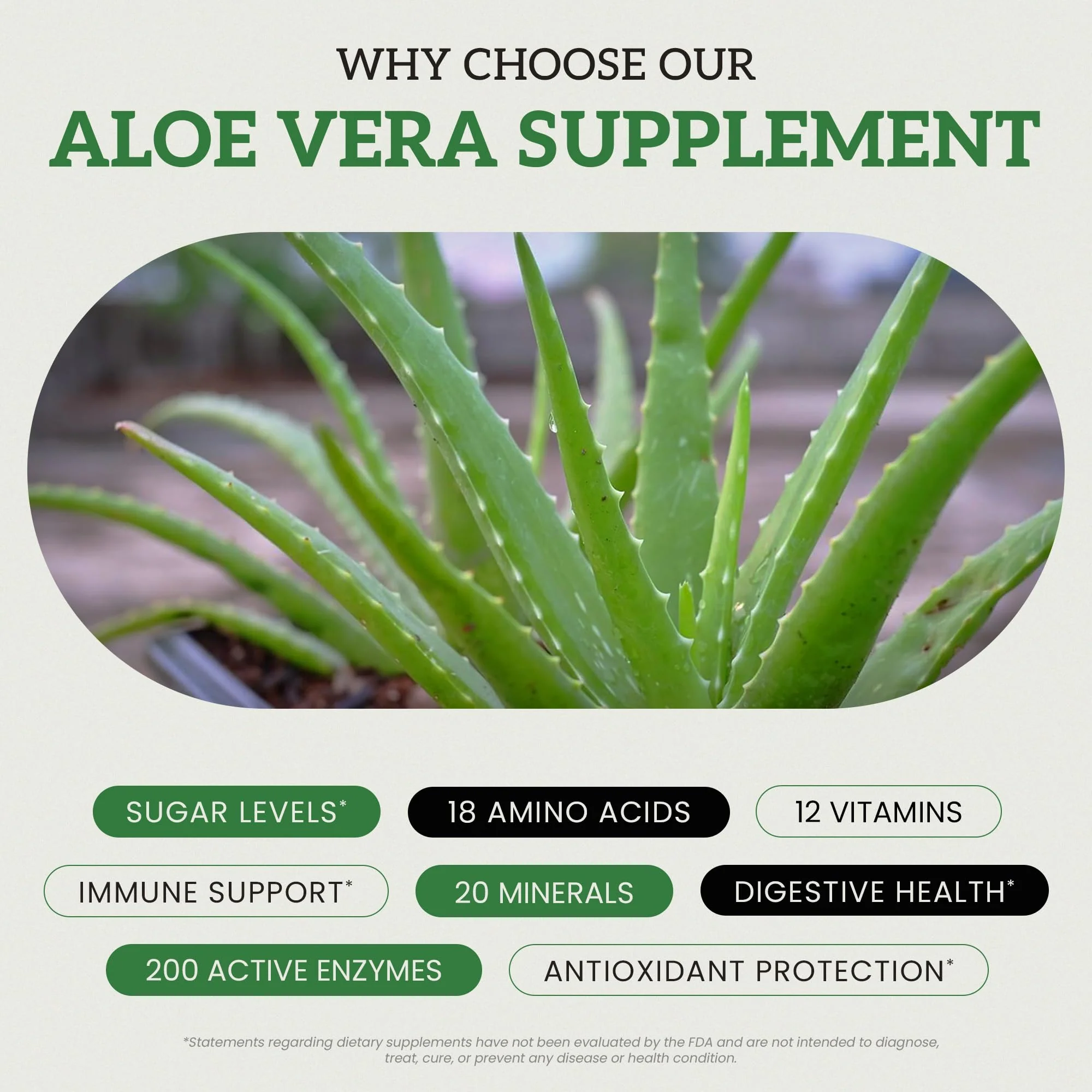 Aloe Vera Supplement | Made with Organic Ingredients | RAW All Natural | Non-GMO - Image 4