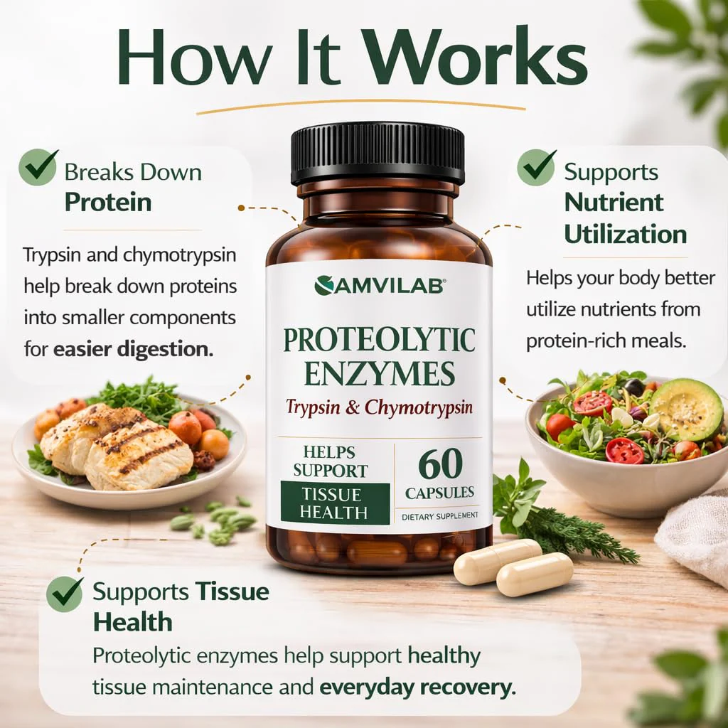 AMVILAB Proteolytic Enzymes | Trypsin & Chymotrypsin – Advanced Digestive Enzyme Supplement for Woman&Men - Digestive Enzymes for Protein Breakdown, Immune & Circulatory Health - 60 Capsules - Image 3