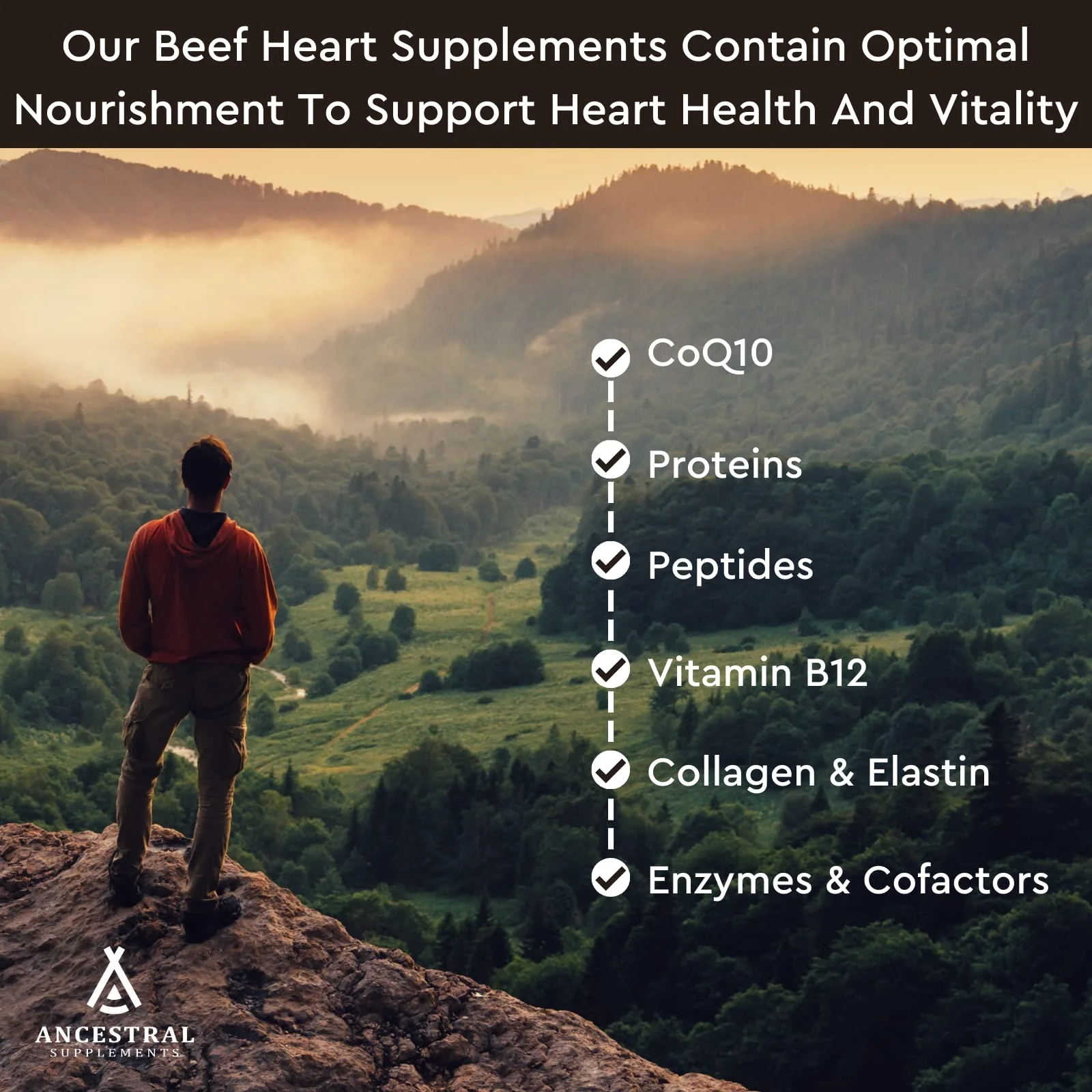 Ancestral Supplements Grass Fed Beef Heart Supplement, 3300mg, CoQ10 Supplement Supports Heart and Mitochondrial Health, Non-GMO, 180 Capsules - Image 2