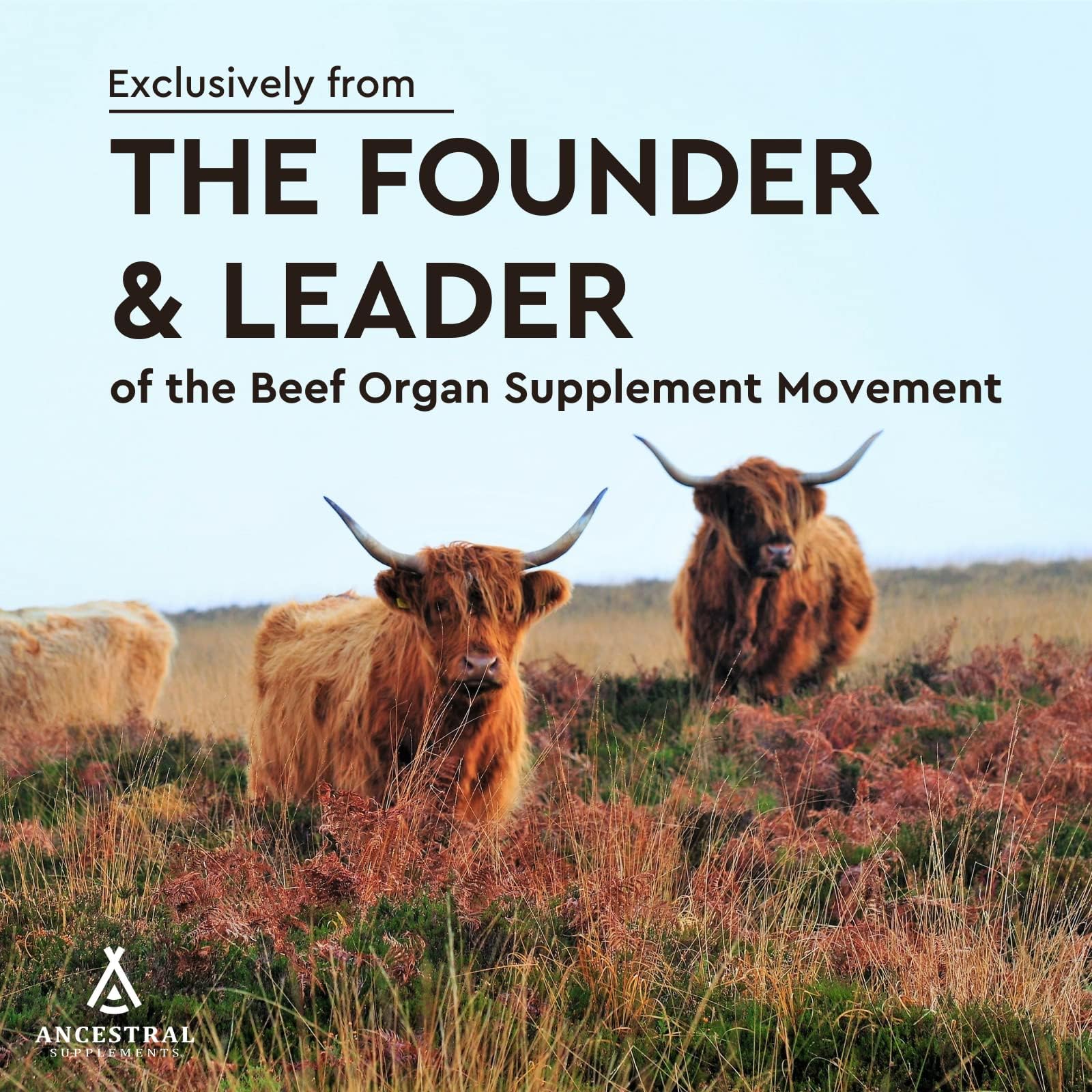 Ancestral Supplements Grass Fed Beef Heart Supplement, 3300mg, CoQ10 Supplement Supports Heart and Mitochondrial Health, Non-GMO, 180 Capsules - Image 3