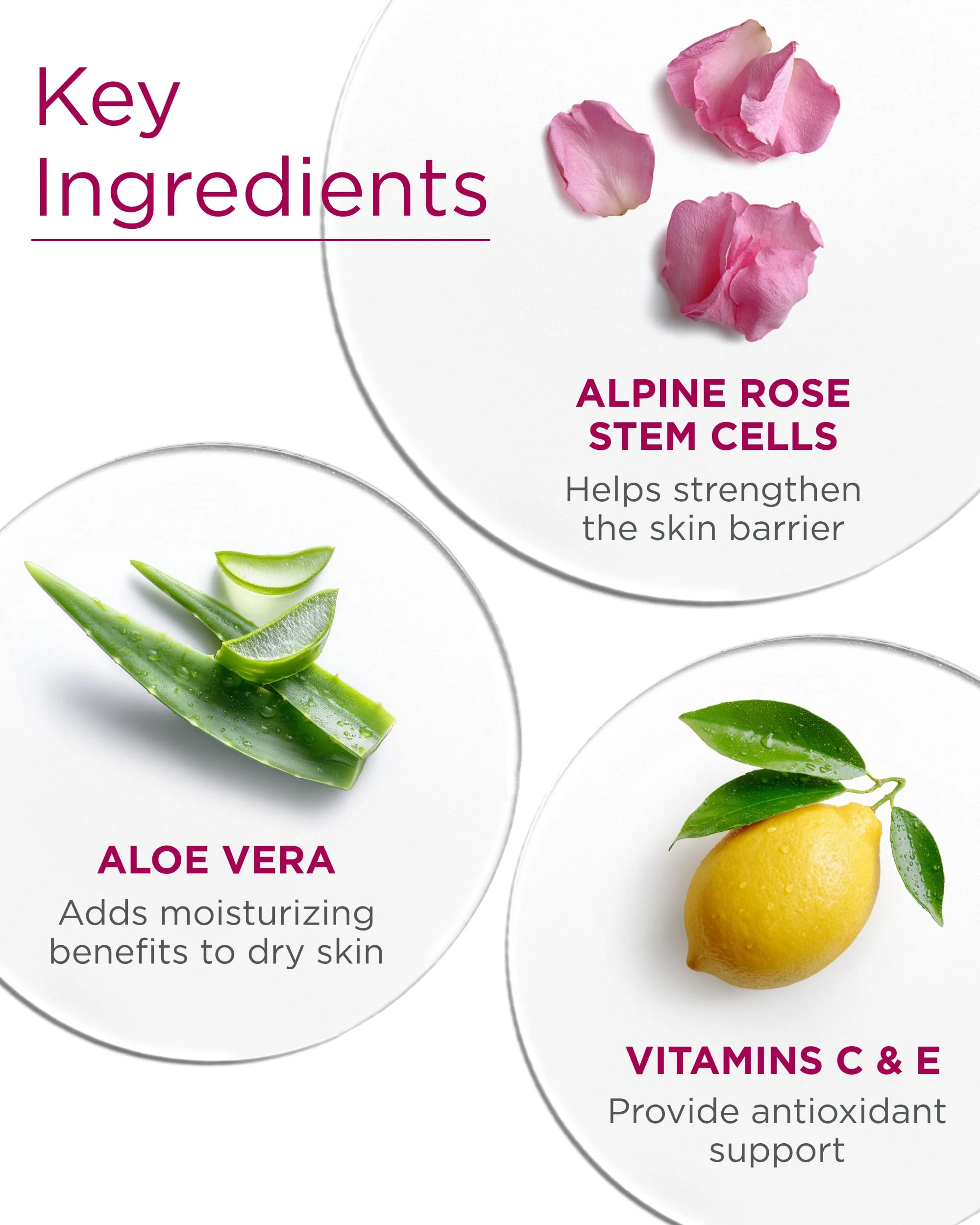 Andalou Naturals, Daily Shade Sensitive Rose Stem Cells, 2.7 Fl Oz - Image 5