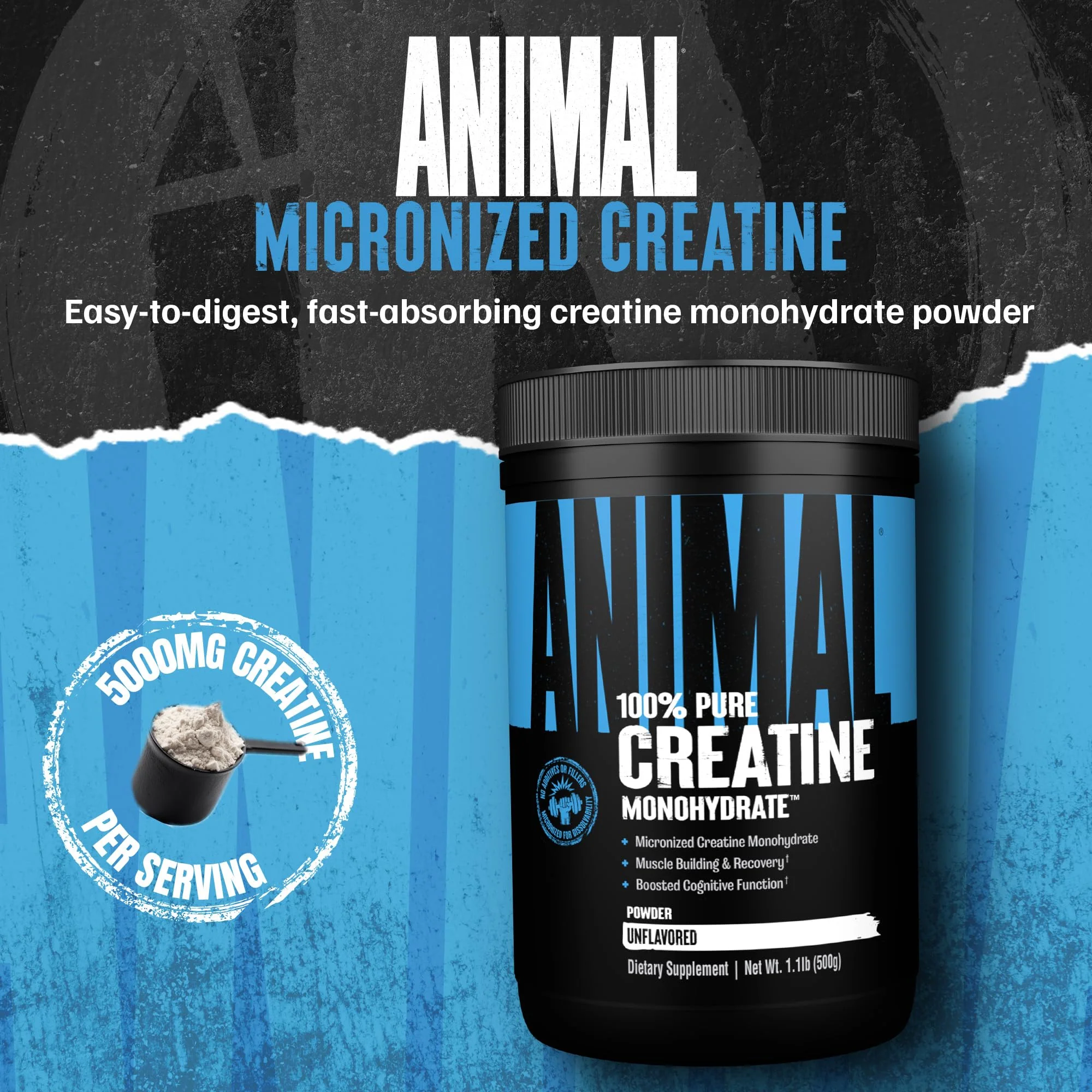 Animal Creatine Monohydrate Powder - Micronized Creatine for Women and Men, Supports Muscle Growth, Strength, Endurance, Recovery and ATP Production, Gym & Workout Supplements - Unflavored, 500g - Image 2