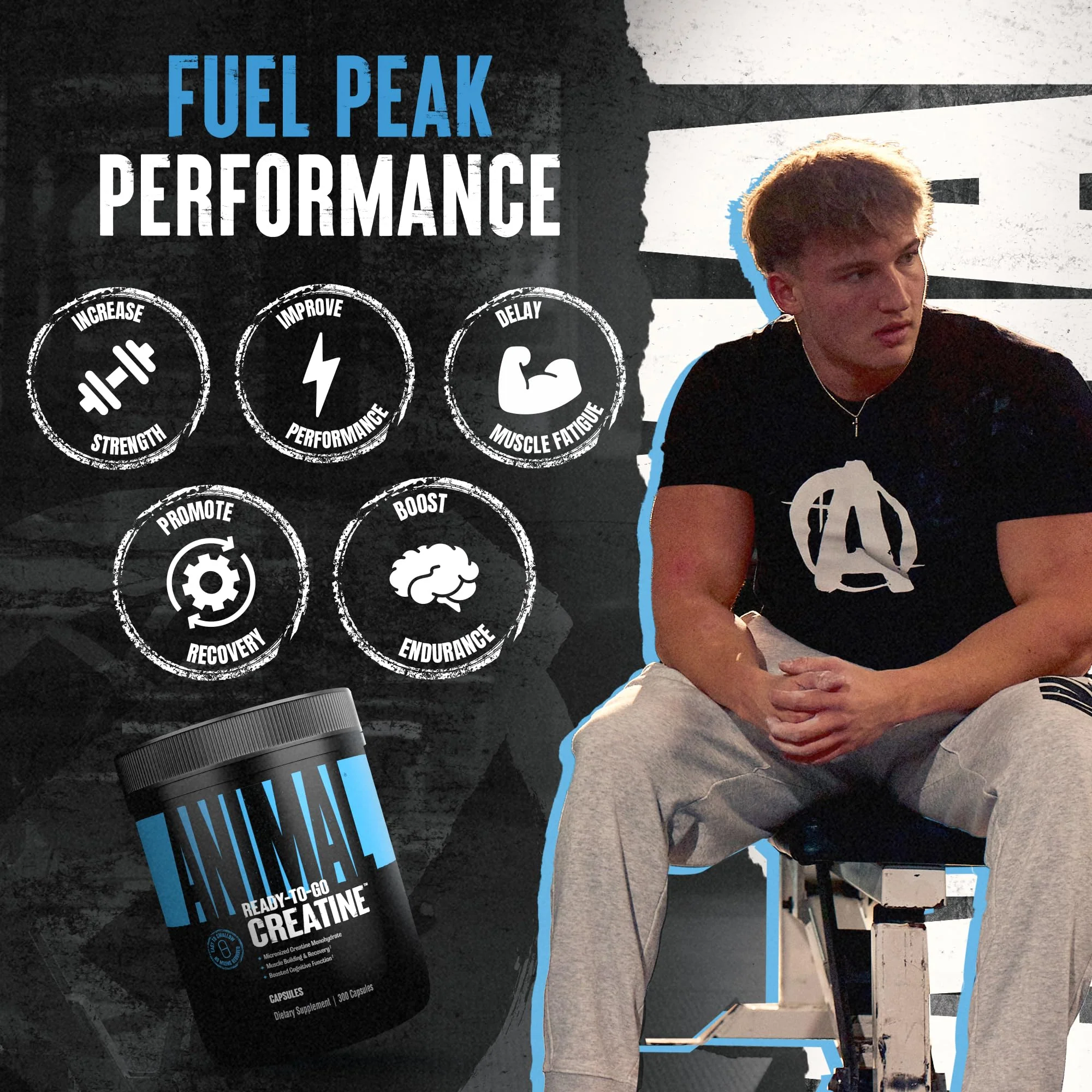 Animal Micronized Creatine Monohydrate Capsules - 300 Caps, 2500mg per Serving to Support Muscle Growth, Endurance, ATP Production, Cognitive Function, Strength, Recovery, and Delay Muscle Fatigue - Image 3