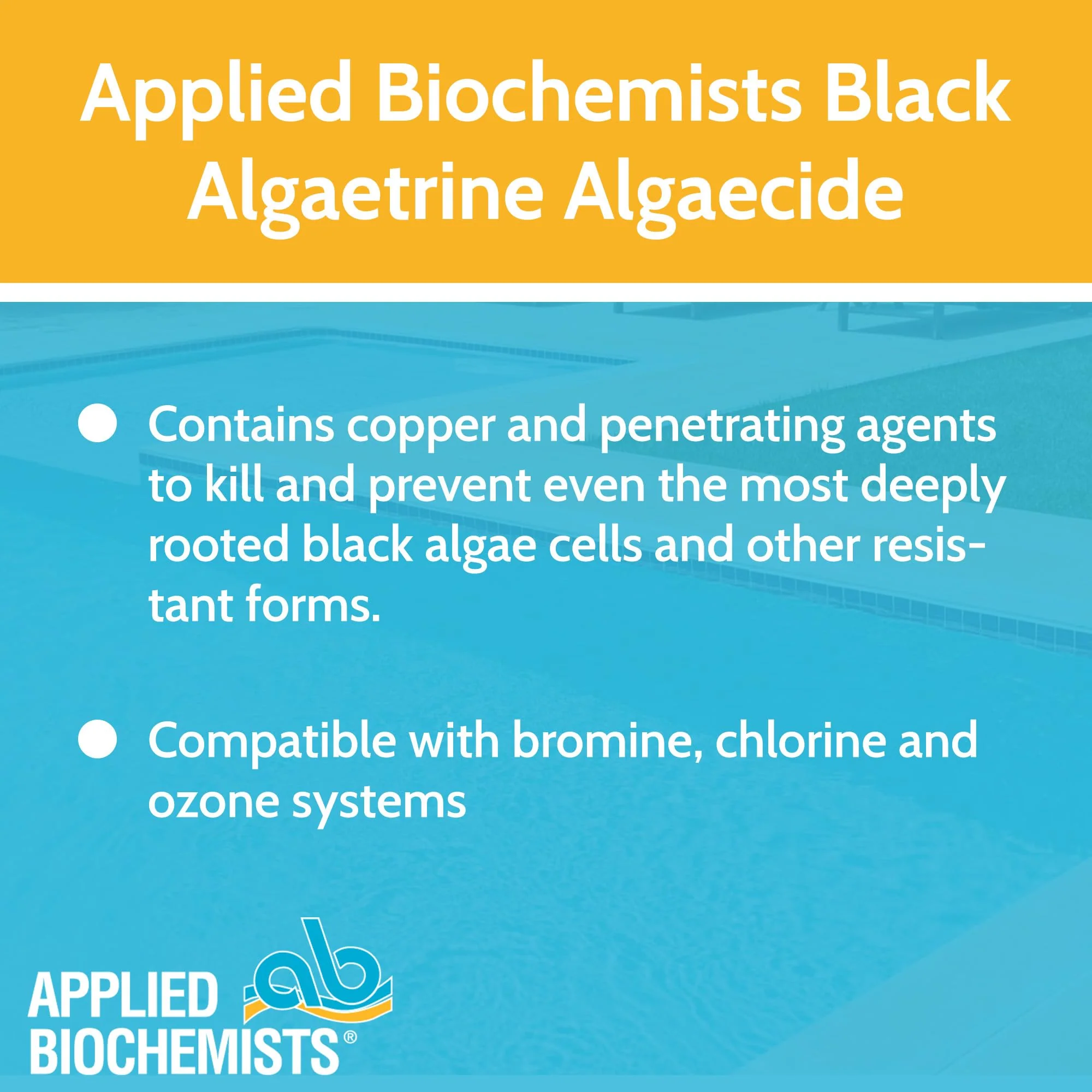 Applied Biochemists 406303A Black Algaetrine Swimming Pool Algaecide & Deposit Control, 32 fl oz, White - Image 2