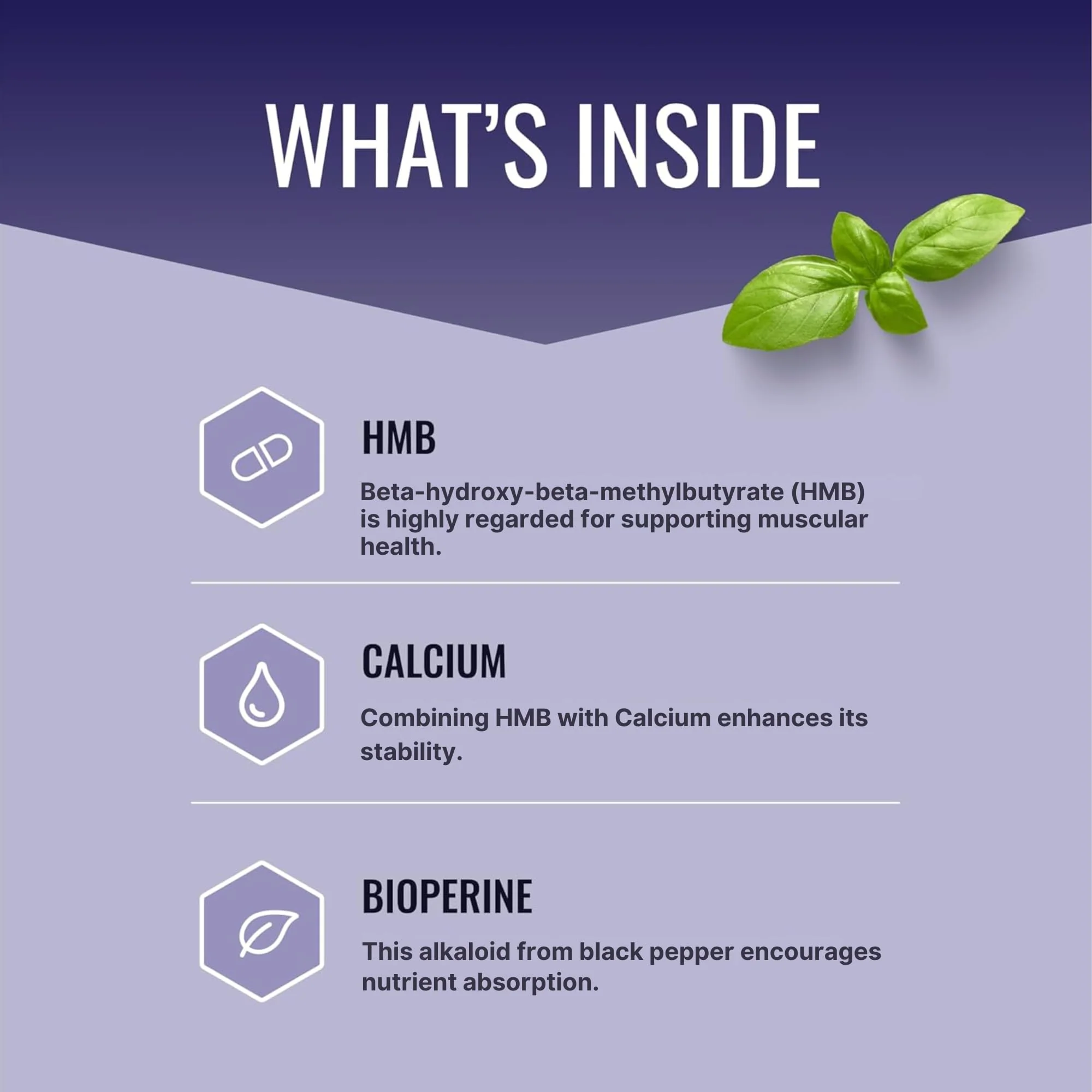Approved Science HMB - 1500mg High Potency HMB Supplement with Calcium & BioPerine for Absorption - Muscle Health & Exercise Performance - 60 Vegan Capsules - 1 Month Supply - Image 6