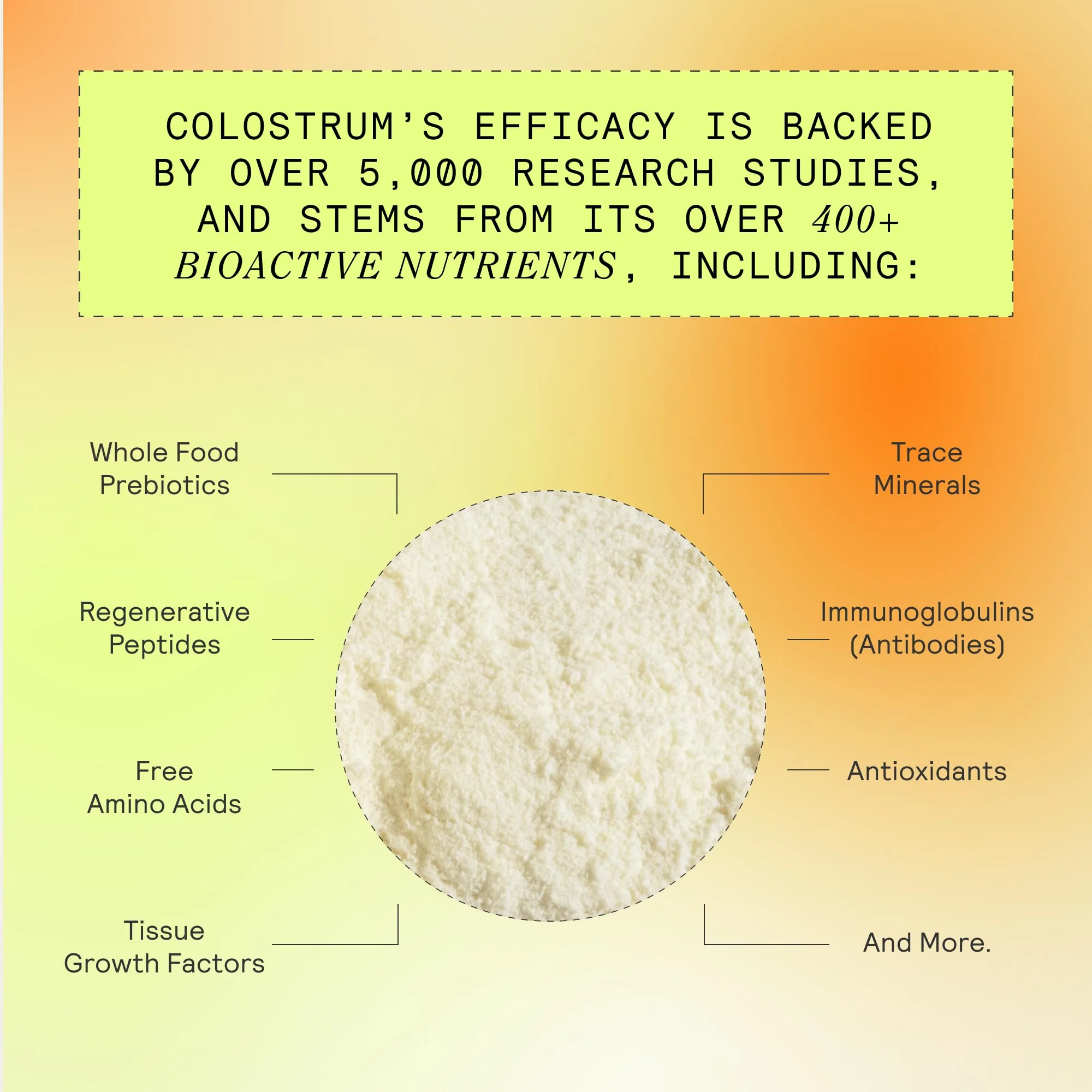 ARMRA Colostrum Powder | Vine Watermelon | Gut Health & Bloating | Skin & Hair | Immunity | Keto, Gluten & Fat-Free | 90 Servings - Image 4