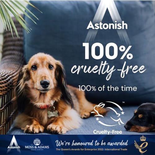 Astonish Oven & Cookware Cleaning Paste For Glass, Appliances, Ceramics, Stovetop & Pyrex - All Purpose Kitchen Cleaner - Stainless Steel Degreaser Removes Baked On Grease & Grime, 150g Tub (3 Pack) - Image 2