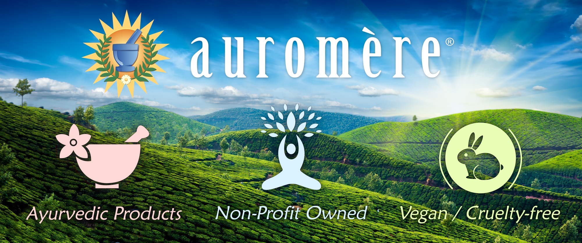 Auromere Ayurvedic Bar Soap, Himalayan Rose - Eco Friendly, Handmade, Vegan, Cruelty Free, Natural, Non GMO (2.75 oz), 3 pack - Image 2