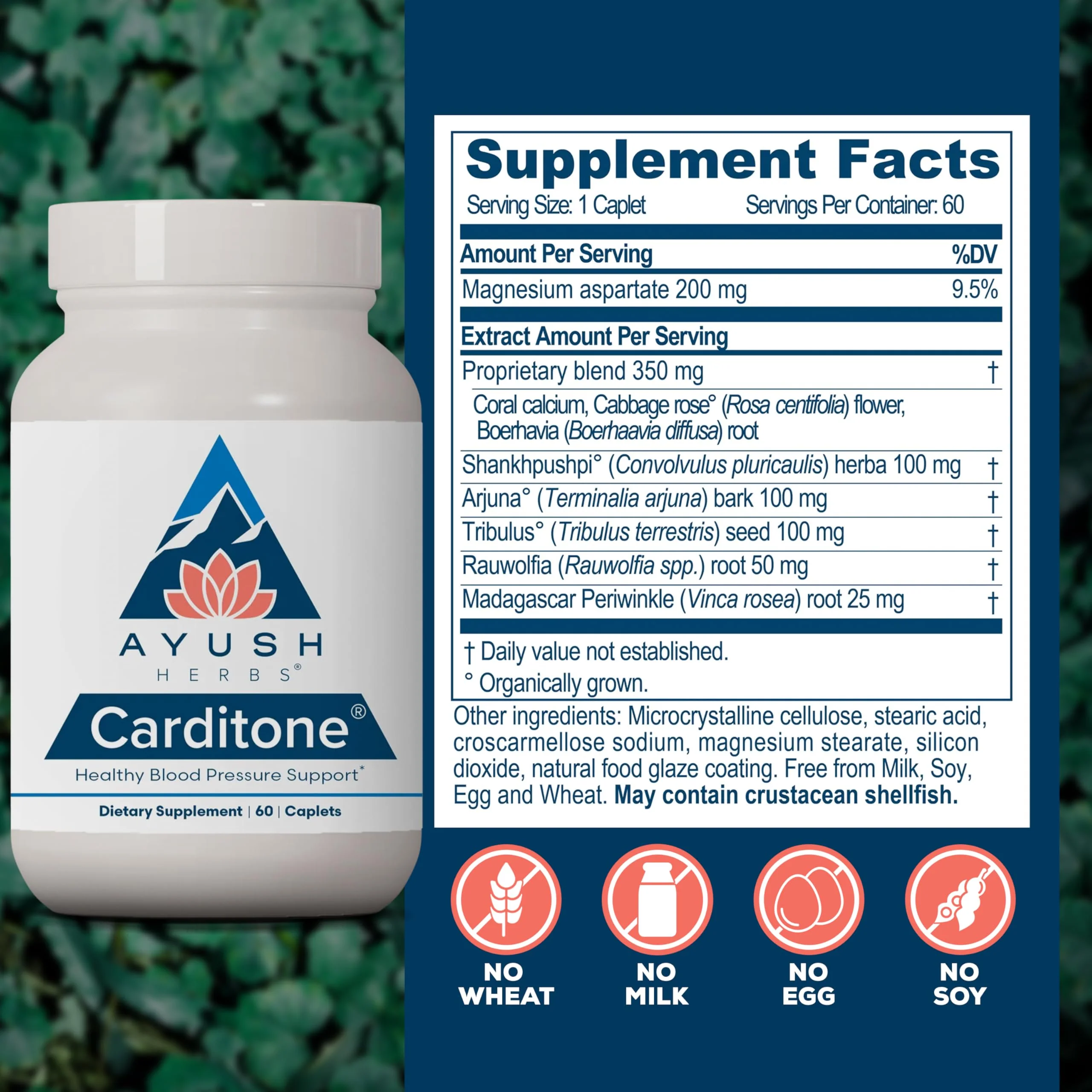 Ayush Herbs Carditone - Natural Heart Health Supplement for Women & Men, BP Formula, Holistic Heart Supplement with Rauwolfia, Arjuna, Calcium, and Magnesium - 120 Servings - Image 3