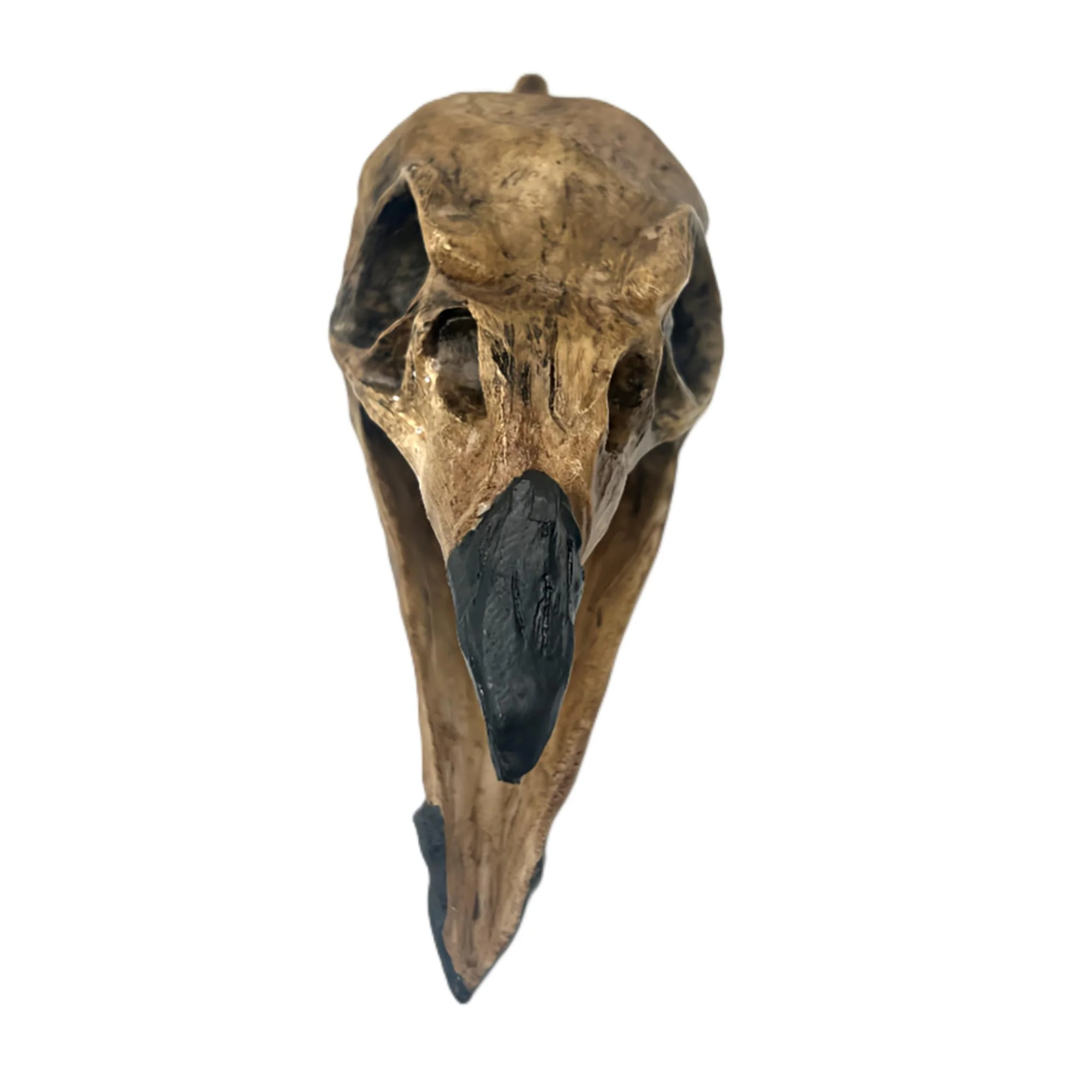 Aztec Death Whistle - Raven - Image 3