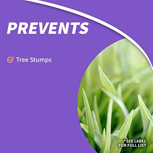 Bonide Stump-Out Granules, Do-it-Yourself At Home Stump Removal Pellets, 1 lb. Fast-Acting Formula for Outdoor Use - Image 3
