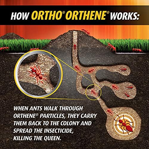 Ortho Orthene Fire Ant Killer1, Kills the Queen, Destroys up to 162 Mounds, Begins Working in 60 minutes, 12 oz. - Image 8