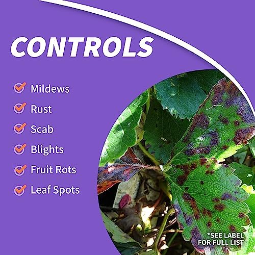 Bonide Fung-onil Multi-Purpose Fungicide, 16 oz Concentrate for Plant Disease Control, Controls Blight, Mildew & More - Image 3
