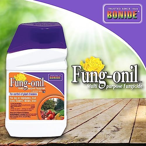 Bonide Fung-onil Multi-Purpose Fungicide, 16 oz Concentrate for Plant Disease Control, Controls Blight, Mildew & More - Image 6