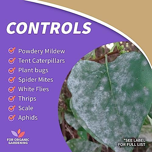 Bonide Insecticidal Soap, 32 oz Ready-to-Use Spray Multi-Purpose Insect Control for Organic Gardening Indoor and Outdoor - Image 4