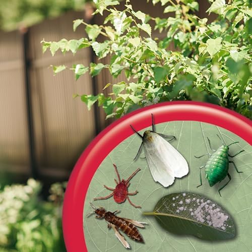 Bonide Insecticidal Soap, 32 oz Ready-to-Use Spray Multi-Purpose Insect Control for Organic Gardening Indoor and Outdoor - Image 9