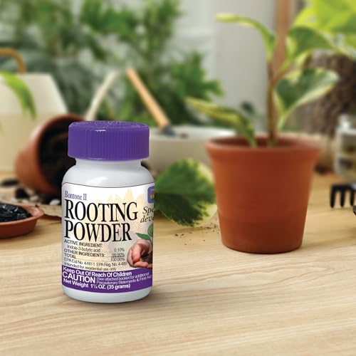 Bonide Bontone II Rooting Powder, 1.25 oz Ready-to-Use Dust for Houseplants and Transplants Speeds Root Development - Image 4