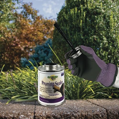 Bonide Garden Rich Pruning Sealer with Brush Top Applicator, 16 oz Ready-to-Use Protective Seal for Trees, Shrubs, Roses - Image 6