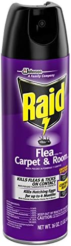 Raid Flea Killer, Kills Fleas, Crickets, Roaches, Silverfish and Ticks, Use in your Home or on your Dog, 16 oz - Image 2
