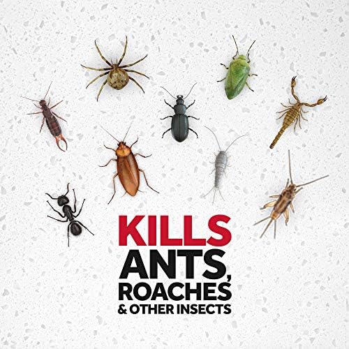 Raid Ant & Roach Killer Spray for Listed Bugs, Insect, Spider, For Indoor Use, Fresh Scent, 12 Oz, Pack of 12 - Image 3