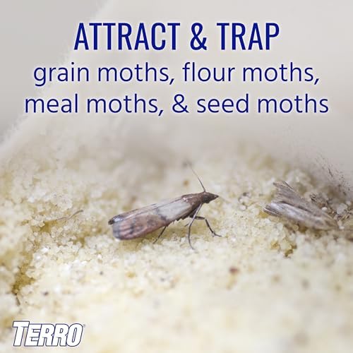 TERRO T2900 (Pack of 2) Pantry Moth Traps - Traps grain moths, flour moths, meal moths, and seed moths, (Packaging May Vary) - Image 2