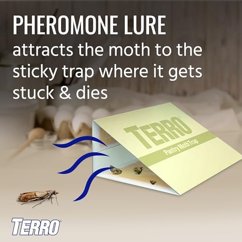 TERRO T2900 (Pack of 2) Pantry Moth Traps - Traps grain moths, flour moths, meal moths, and seed moths, (Packaging May Vary) - Image 3