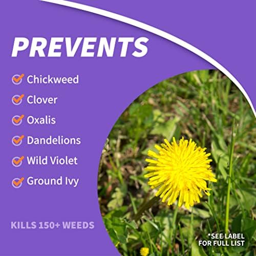 Bonide Chickweed, Clover and Oxalis Killer, 16 oz Concentrate, Controls Weeds and Roots without Harming Lawn - Image 3