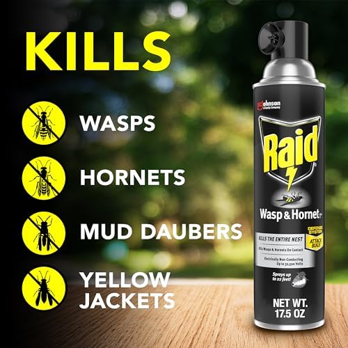 Raid Wasp and Hornet Killer (17.5 Ounce (Pack of 1)) - Image 2