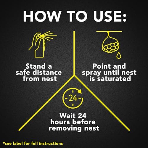 Raid Wasp and Hornet Killer (17.5 Ounce (Pack of 1)) - Image 4