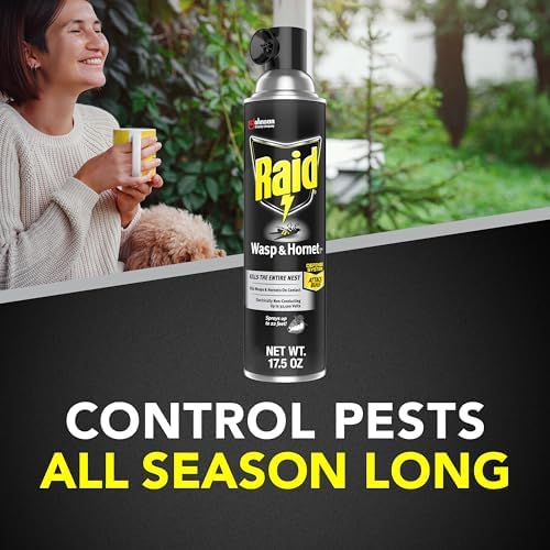 Raid Wasp and Hornet Killer (17.5 Ounce (Pack of 1)) - Image 7