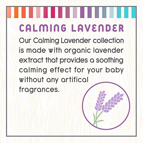 Little Twig Detangling Conditioner, Natural Conditioner with Plant Derived Formula, Hair Conditioner with Essential Oils and Extracts, Suitable for Whole Family, Lavender, 8.5 fl oz. - Image 4