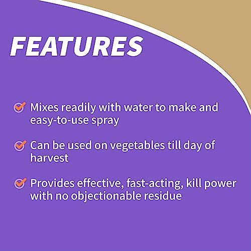 Bonide Pyrethrin Garden Insect Spray Concentrate, 16 oz Ready-to-Mix Fast Acting Insecticide for Outdoor Garden Use - Image 6